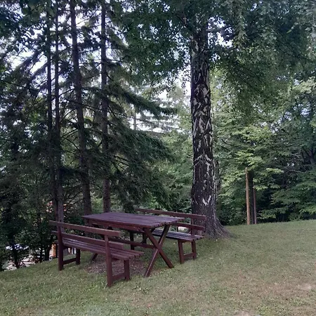 Planinska Vikendica * 鲁德尼克