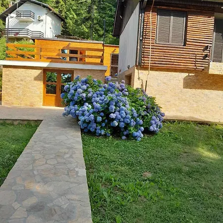 Planinska Vikendica * 鲁德尼克