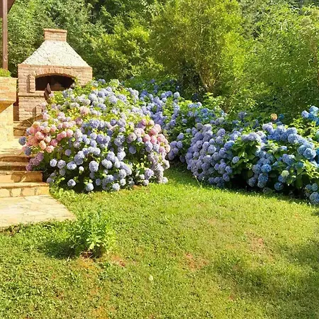 Planinska Vikendica 度假居 *