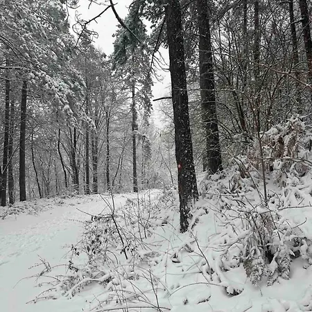 度假居 Planinska Vikendica *